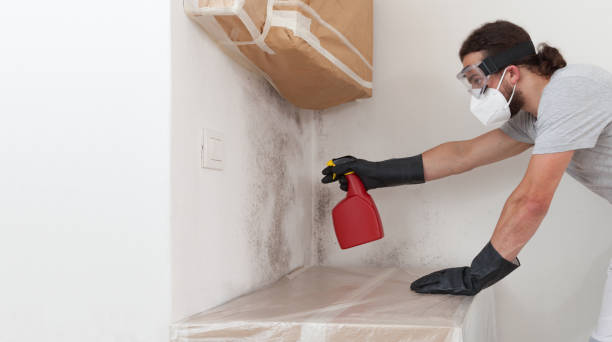 Professional Mold Removal technician working in Hauppauge, NY